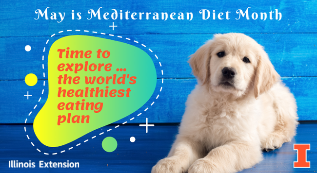 May is Mediterranean Diet Month: Golden retriever puppy saying Time to Explore the world's healthiest eating plan